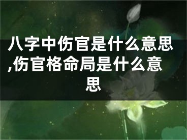 八字中伤官是什么意思,伤官格命局是什么意思