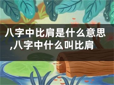 八字中比肩是什么意思,八字中什么叫比肩