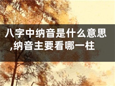 八字中纳音是什么意思,纳音主要看哪一柱