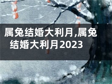 属兔结婚大利月,属兔结婚大利月2023