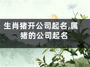 生肖猪开公司起名,属猪的公司起名