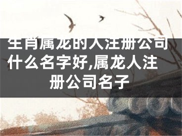 生肖属龙的人注册公司什么名字好,属龙人注册公司名子