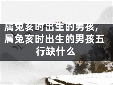 属兔亥时出生的男孩,属兔亥时出生的男孩五行缺什么