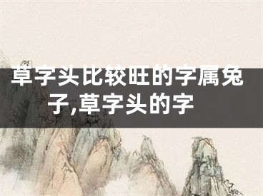 草字头比较旺的字属兔子,草字头的字