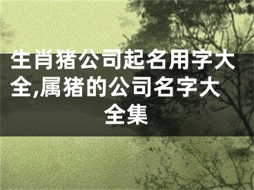 生肖猪公司起名用字大全,属猪的公司名字大全集