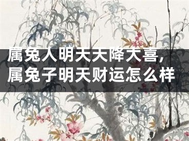 属兔人明天天降大喜,属兔子明天财运怎么样