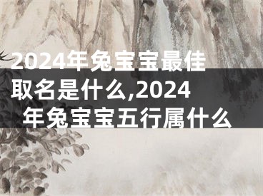 2024年兔宝宝最佳取名是什么,2024年兔宝宝五行属什么