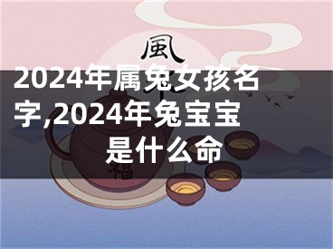 2024年属兔女孩名字,2024年兔宝宝是什么命
