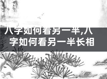 八字如何看另一半,八字如何看另一半长相