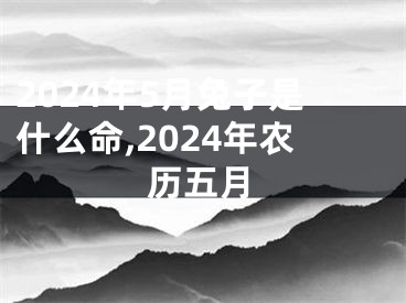 2024年5月兔子是什么命,2024年农历五月