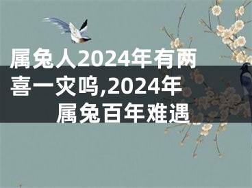 属兔人2024年有两喜一灾呜,2024年属兔百年难遇