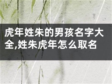 虎年姓朱的男孩名字大全,姓朱虎年怎么取名