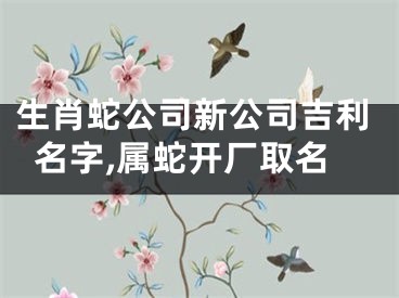 生肖蛇公司新公司吉利名字,属蛇开厂取名