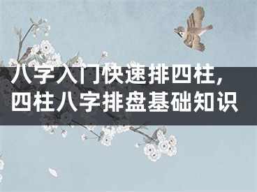 八字入门快速排四柱,四柱八字排盘基础知识