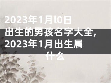 2023年1月l0日出生的男孩名字大全,2023年1月出生属什么