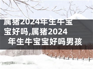 属猪2024年生牛宝宝好吗,属猪2024年生牛宝宝好吗男孩