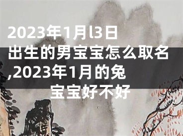 2023年1月l3日出生的男宝宝怎么取名,2023年1月的兔宝宝好不好