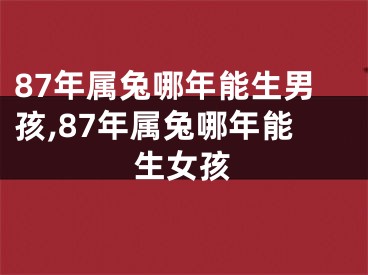 87年属兔哪年能生男孩,87年属兔哪年能生女孩