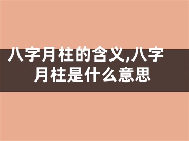 八字月柱的含义,八字月柱是什么意思