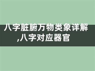 八字脏腑万物类象详解,八字对应器官