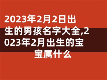 2023年2月2日出生的男孩名字大全,2023年2月出生的宝宝属什么