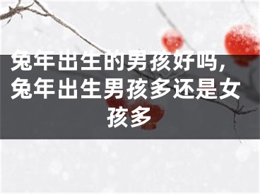 兔年出生的男孩好吗,兔年出生男孩多还是女孩多