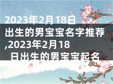 2023年2月18日出生的男宝宝名字推荐,2023年2月18日出生的男宝宝起名