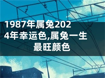 1987年属兔2024年幸运色,属兔一生最旺颜色