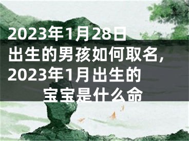 2023年1月28日出生的男孩如何取名,2023年1月出生的宝宝是什么命