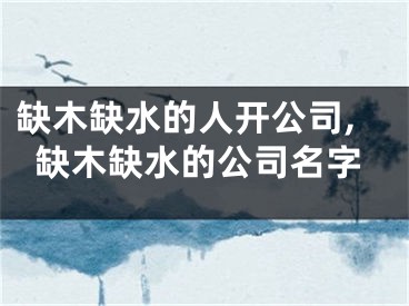 缺木缺水的人开公司,缺木缺水的公司名字