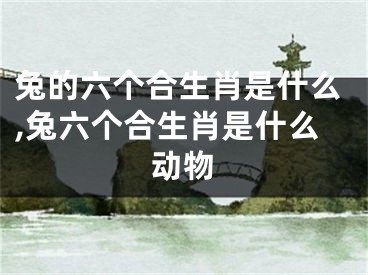兔的六个合生肖是什么,兔六个合生肖是什么动物