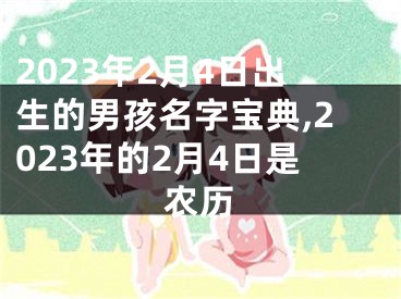 2023年2月4日出生的男孩名字宝典,2023年的2月4日是农历