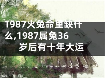 1987火兔命里缺什么,1987属兔36岁后有十年大运