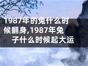 1987年的兔什么时候翻身,1987年兔子什么时候起大运