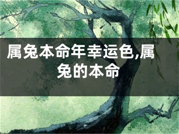 属兔本命年幸运色,属兔的本命