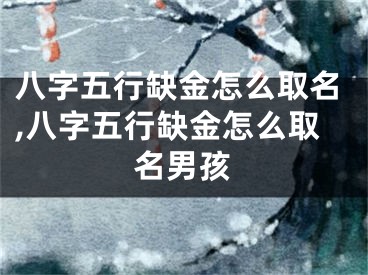 八字五行缺金怎么取名,八字五行缺金怎么取名男孩