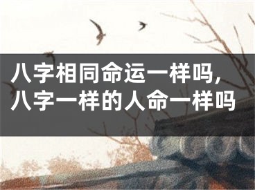 八字相同命运一样吗,八字一样的人命一样吗