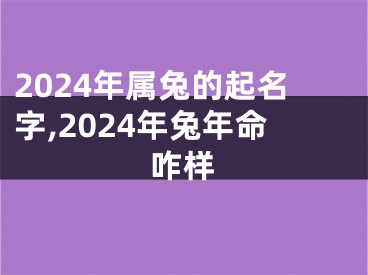 2024年属兔的起名字,2024年兔年命咋样