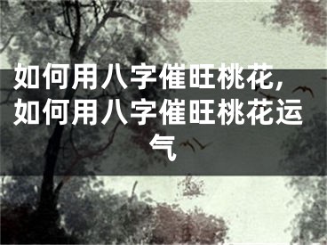 如何用八字催旺桃花,如何用八字催旺桃花运气