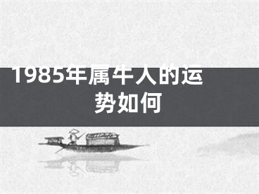 1985年属牛人的运势如何