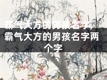 霸气大方的男孩名字,霸气大方的男孩名字两个字