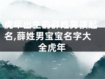 虎年出生的薛姓男孩起名,薛姓男宝宝名字大全虎年
