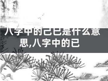 八字中的己巳是什么意思,八字中的已