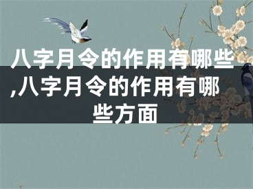 八字月令的作用有哪些,八字月令的作用有哪些方面