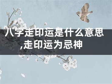 八字走印运是什么意思,走印运为忌神