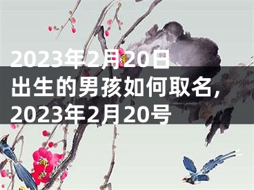 2023年2月20日出生的男孩如何取名,2023年2月20号