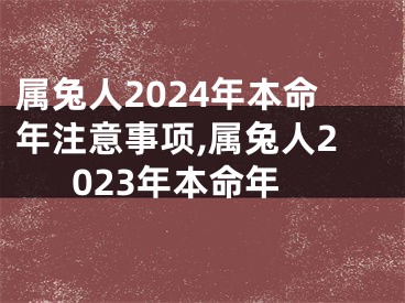 属兔人2024年本命年注意事项,属兔人2023年本命年