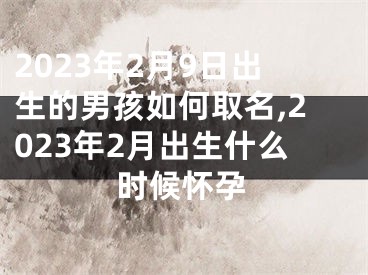 2023年2月9日出生的男孩如何取名,2023年2月出生什么时候怀孕