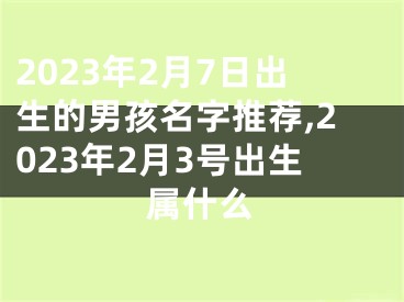 2023年2月7日出生的男孩名字推荐,2023年2月3号出生属什么