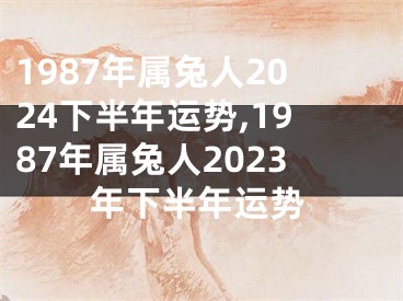 1987年属兔人2024下半年运势,1987年属兔人2023年下半年运势